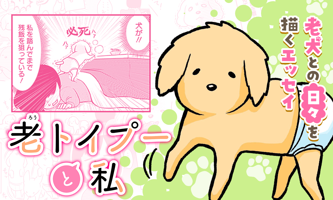 老トイプーと私